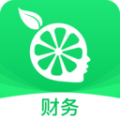 檸檬云記賬標準版