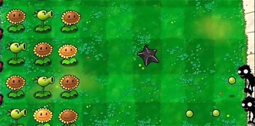 植物大戰僵尸無雙版