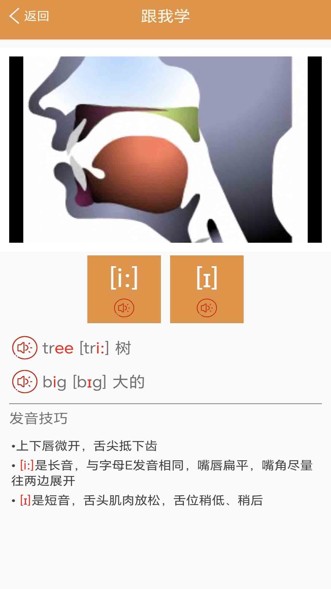 大貓英語國際音標最新版