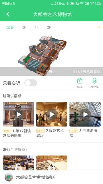 大都會藝術博物館安卓版