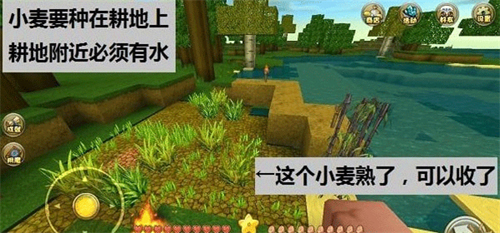 迷你世界(內附攻略大全)