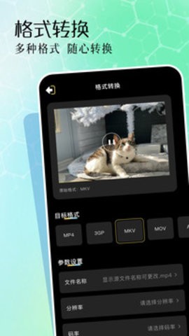 二皮剪輯軟件專業版