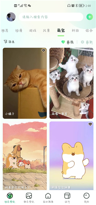 飛火動態壁紙app官方版