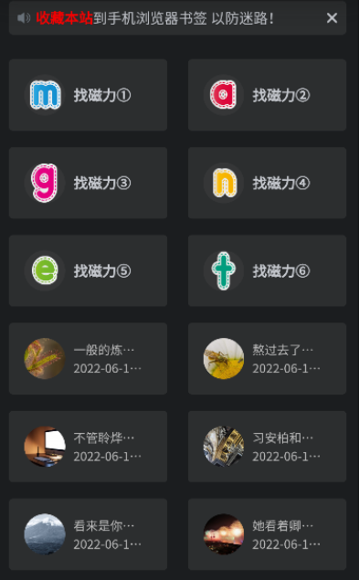 磁力王官網版