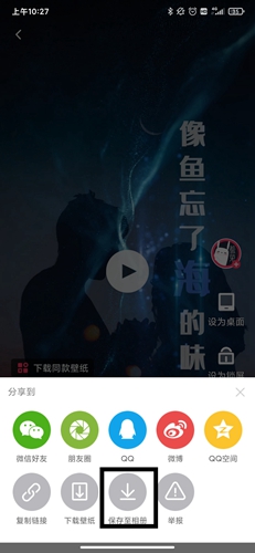 羞兔動態壁紙安卓版