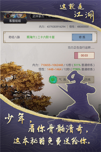 這就是江湖國(guó)際版