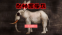 動(dòng)物園怪談中文版
