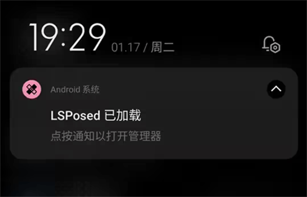 LSP框架去除
