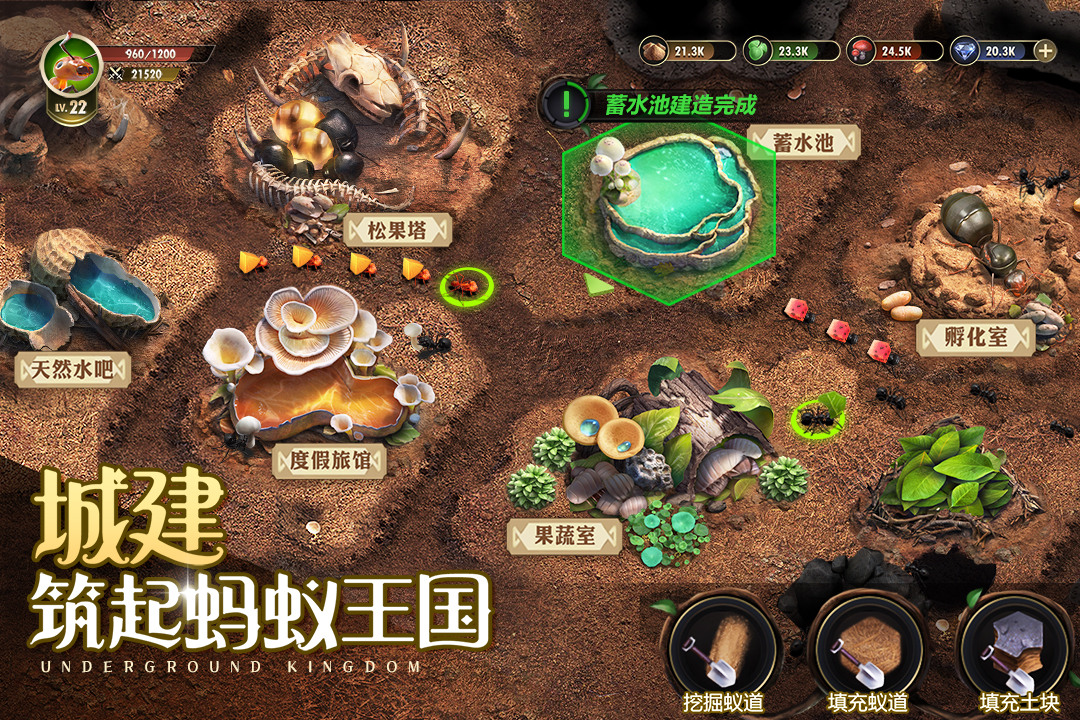 小小蟻國內置菜單版