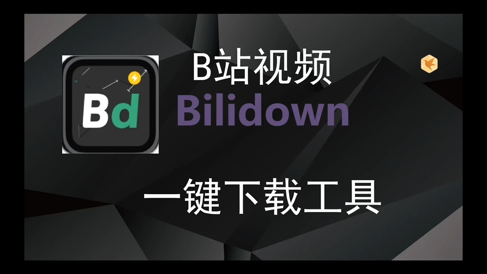 B站視頻下載工具全部版本集合-Bilidown各種版本大全-Bilidown電腦版/專業(yè)版/免費版