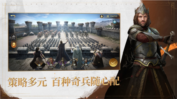 指環王紛爭官方版