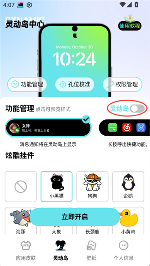 靈動皮膚小組件