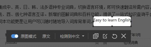 網易有道詞典