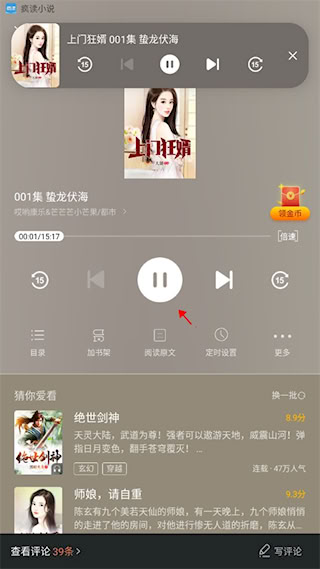 瘋讀小說