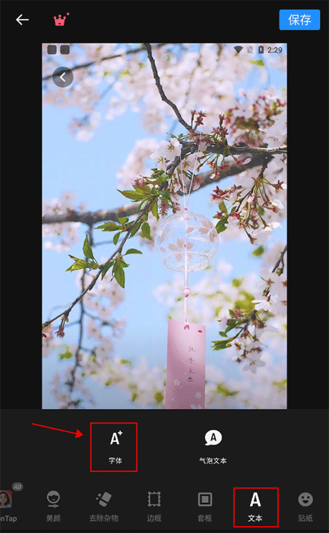 專業照片編輯器