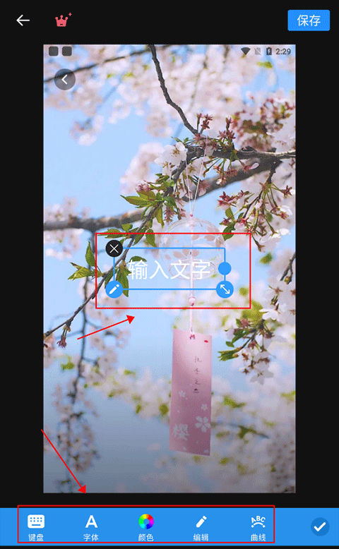 專業照片編輯器
