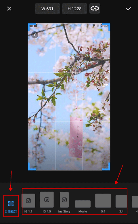 專業照片編輯器