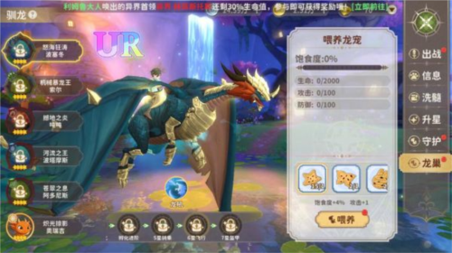 龍騎士學園2025