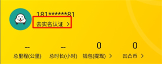 凹凸共享車