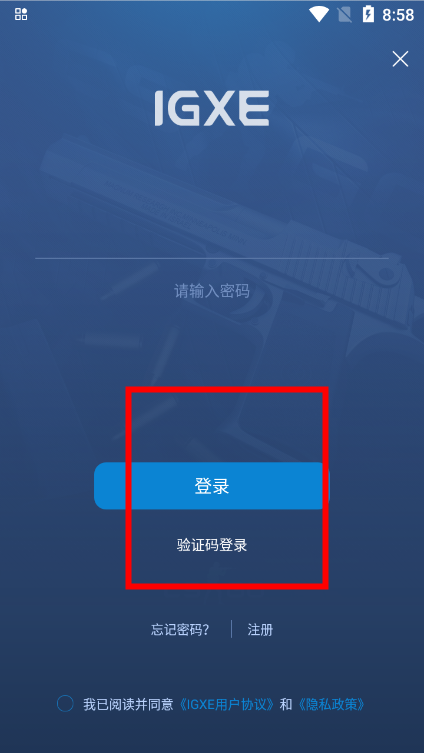igxe交易平臺漢化版