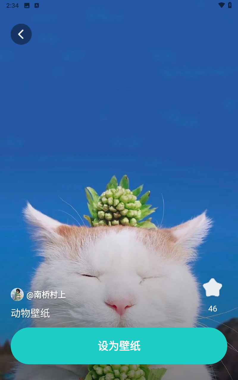 青藤壁紙