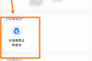 江蘇稅務中文版