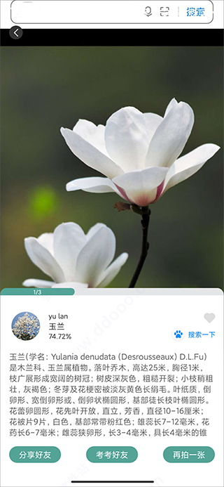識花君