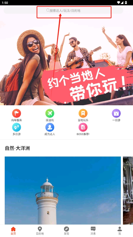 8只小豬