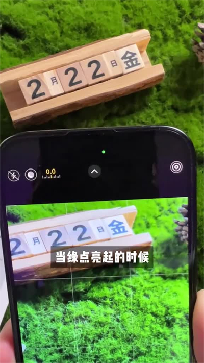 靈動島桌面官方版