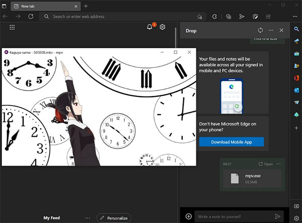 Edge Canary金絲雀版