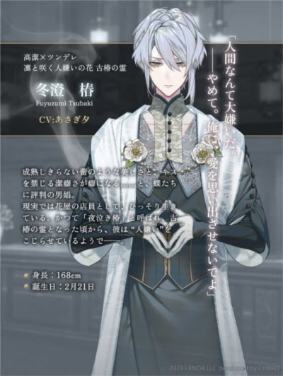 夢幻樓與不眠之蝶中文版