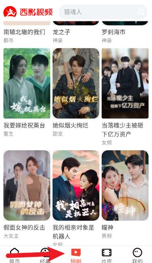 西影視頻中文版